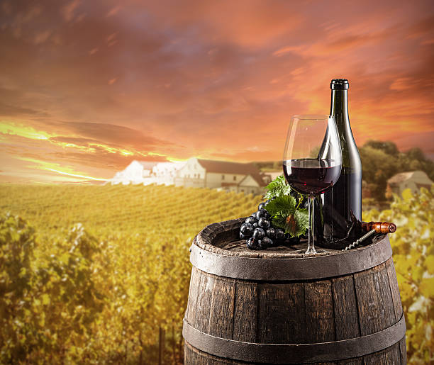 istock Red wine still life with vineyard on background 505619937