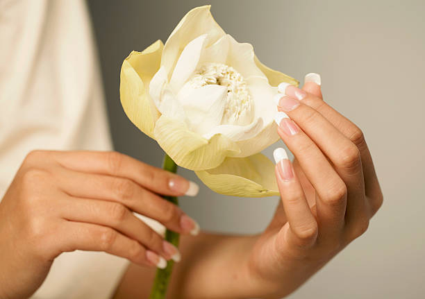 istock white lotus flower, Nice hands with nail art 505620399