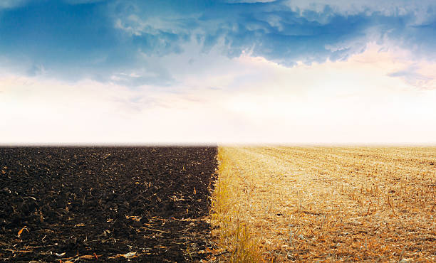 istock Field one part with dried grass and second with ground. 505620612