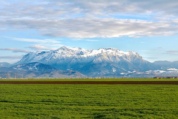 istock spring landscape with a mountain background. Bucegi Mountains 505620911