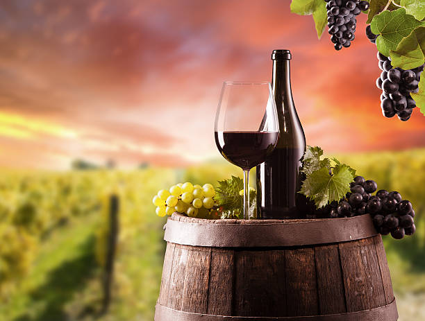istock Red wine still life with vineyard on background 505620937