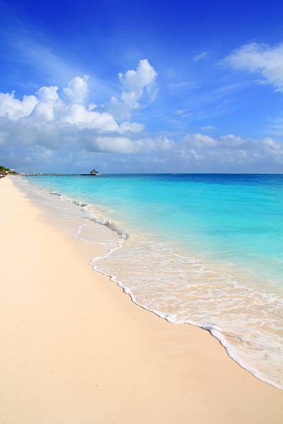istock Caribbean tropical turquoise beach blue sky 505622460