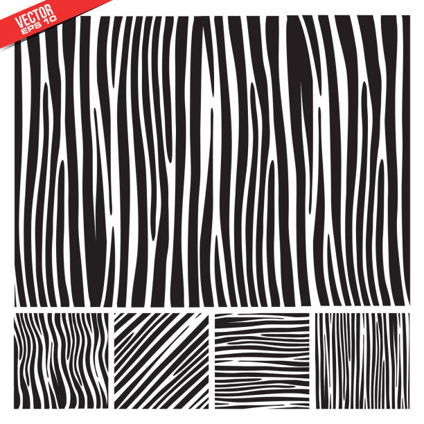 zebra vector pattern zebra pattern fur texture in vector format zebra tattoos stock illustrations