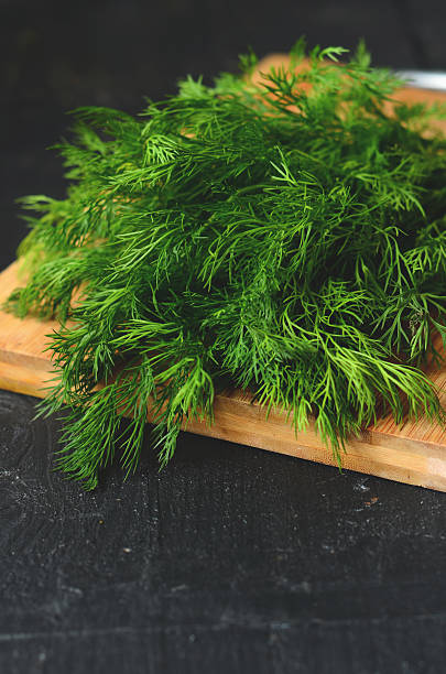 istock bunch of fresh  dill 505622688