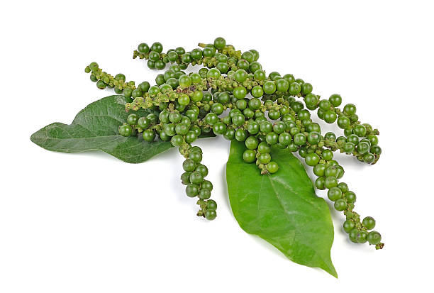 istock pepper seeds  isolated on white background 505623256