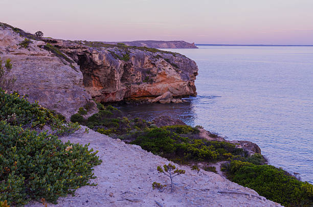 istock Spectacular coastal cliff bay at sunset high view 505624456