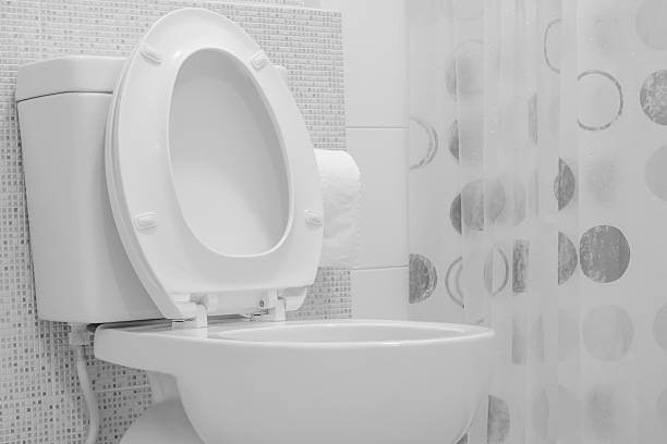 istock White toilet bowl 505624494