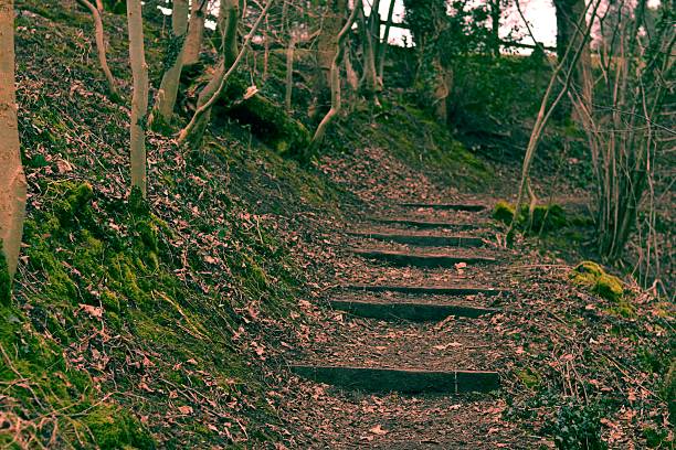 Hiking Step Art stock photo