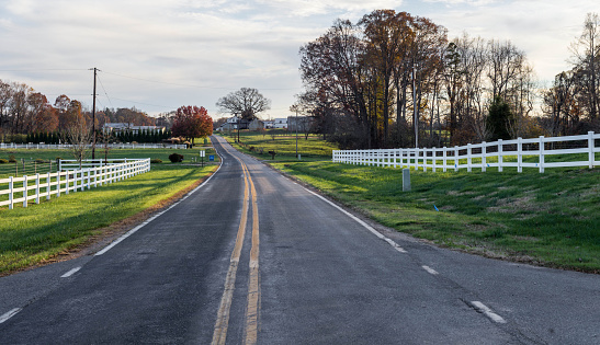 Road going down the middle of the picture with white fences bordering the street. Rural scenery in North Carolina.