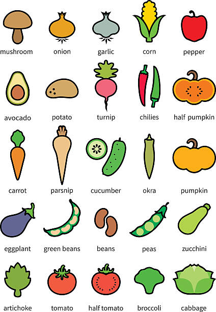 ilustraciones, imágenes clip art, dibujos animados e iconos de stock de icono conjunto de verduras - green bean isolated food white background