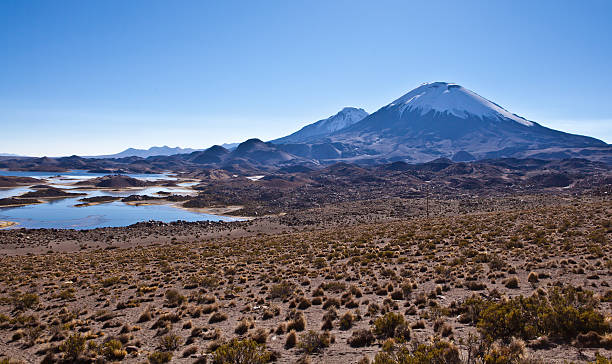 istock Altiplano landscape 505632779