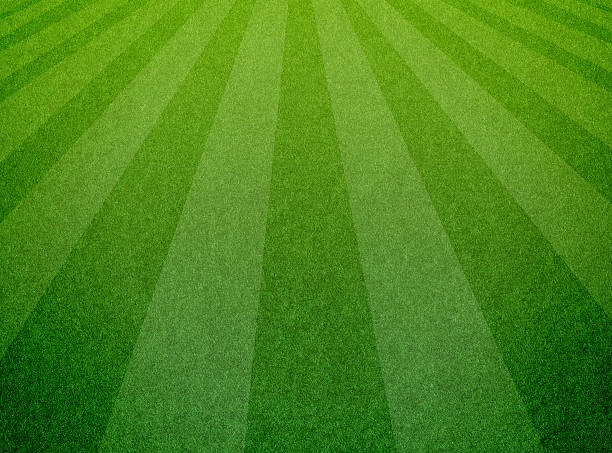 istock Green grass soccer field background 505633091