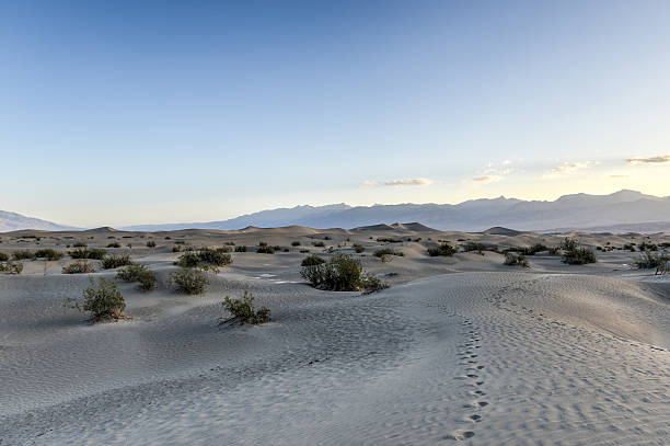 istock Mesquite Flat Sand Dunes, Death Valley 505633387