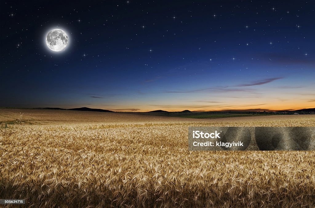 Grano a notte. - Foto stock royalty-free di Luna