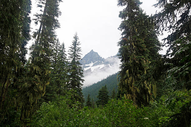 istock Glacier National Park 505635259