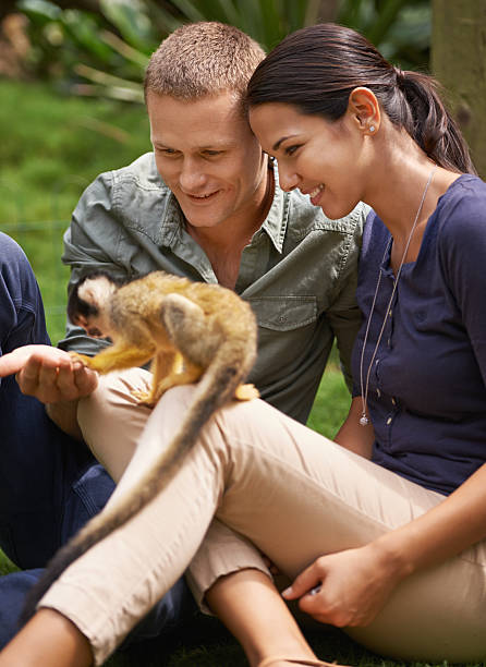 señoría, su parte, parece ser vacío! - beauty in nature day animal monkey fotografías e imágenes de stock