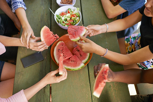 High angle shot of a group of teenage friends having watermelon while on a picnic