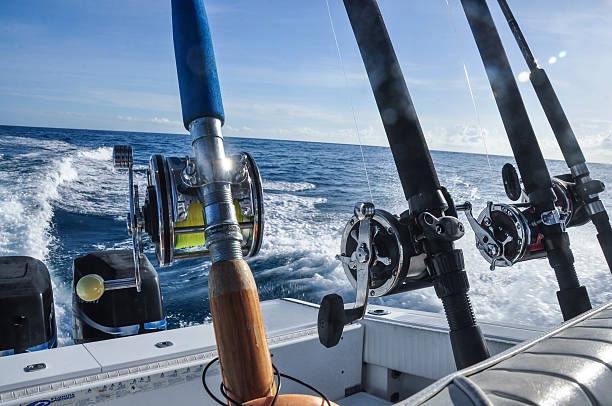 istock Fishing rods and reels 505638311