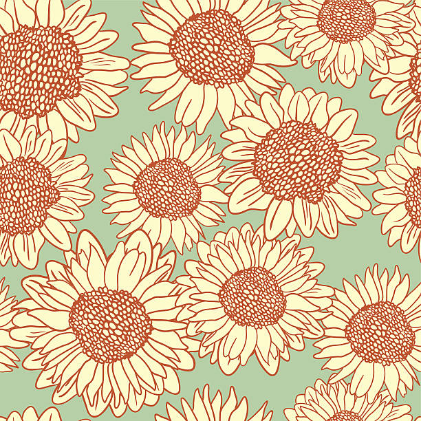 Vector seamless pattern with sunflowers Vector seamless pattern with sunflowers helianthus stock illustrations