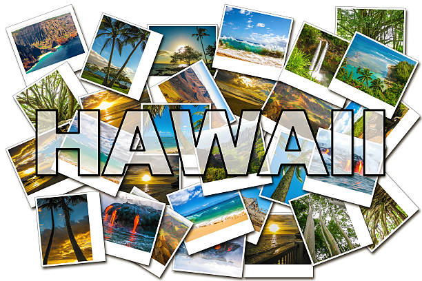 istock Hawaii pictures collage 505639964