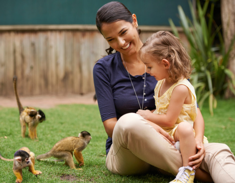 A beautiful young mother playing with her daughter at a monkey sanctuary