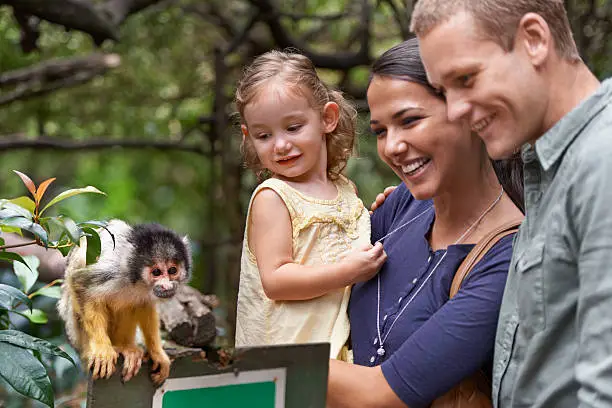 A happy family spending the day at a monkey sanctuary