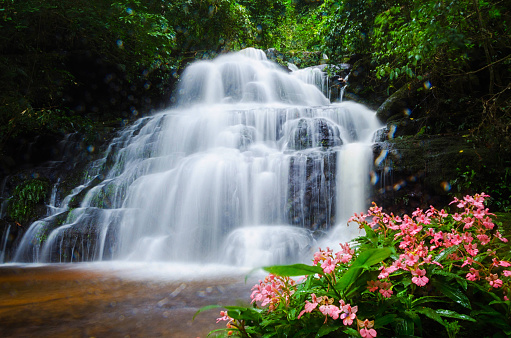 background blur Mandang waterfall in Thailand.With a pink flower foreground was a splash of water makes the flowers sway.