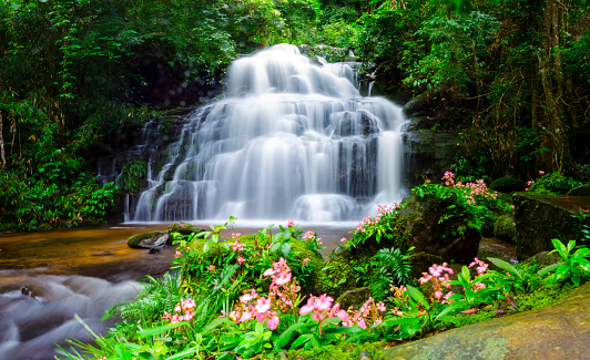 background blur Mandang waterfall in Thailand.With a pink flower foreground was a splash of water makes the flowers sway.