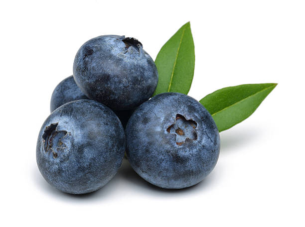 borówki amerykańskie - blueberry zdjęcia i obrazy z banku zdjęć