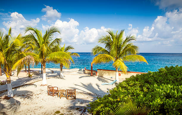 Coast of Cozumel island, Mexico stock photo