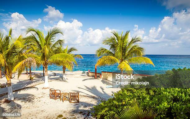 Coast Of Cozumel Island Mexico Stock Photo - Download Image Now - Cozumel, Beach, Mexico