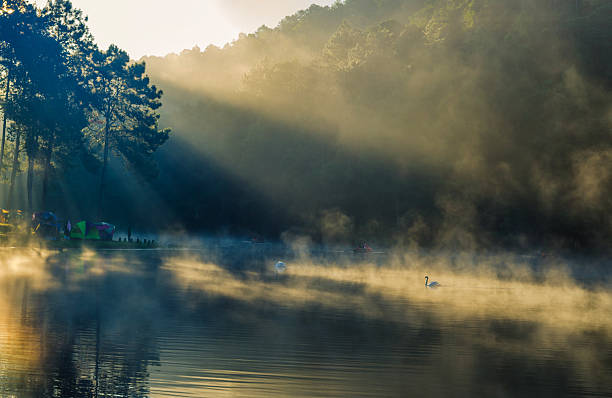 istock Pang Ung, Thailand is a tourist 505646912