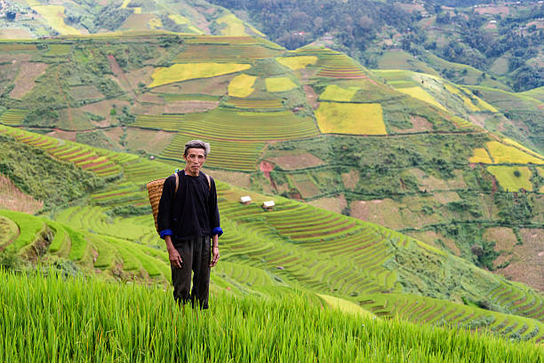 istock old farmer works and carries baskets on his shoulder 505647518