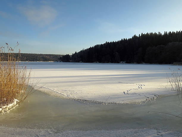 istock Scandinavian winter landscape 505647952