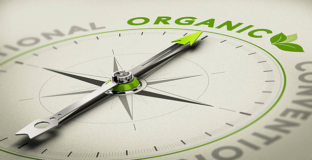 istock Organic Farming, Natural Products 505649324