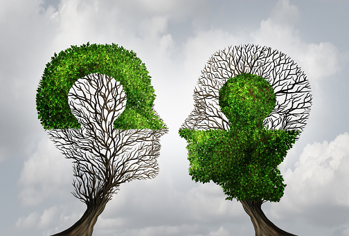 Perfect business partnership as a connecting puzzle shaped as two trees in the form of human heads connecting together to complete each other as a corporate success metaphor for cooperation and agreement as equal partners.