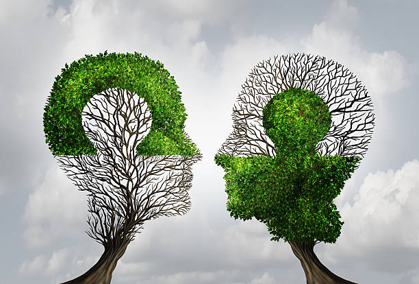 Perfect Business Partnership Perfect business partnership as a connecting puzzle shaped as two trees in the form of human heads connecting together to complete each other as a corporate success metaphor for cooperation and agreement as equal partners. things that go together stock pictures, royalty-free photos & images
