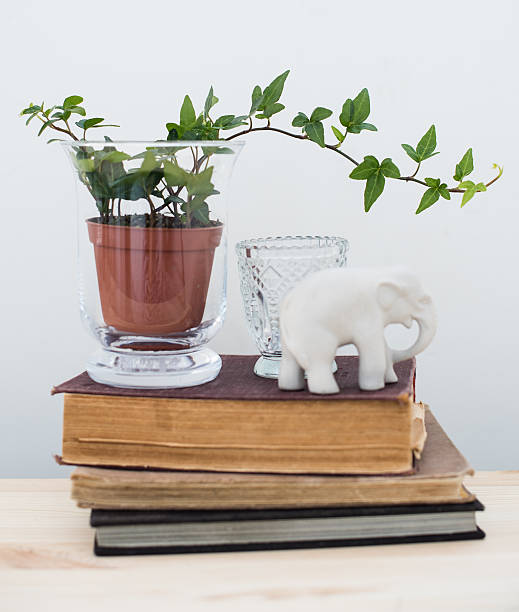 istock home interior decor, vintage style 505650726