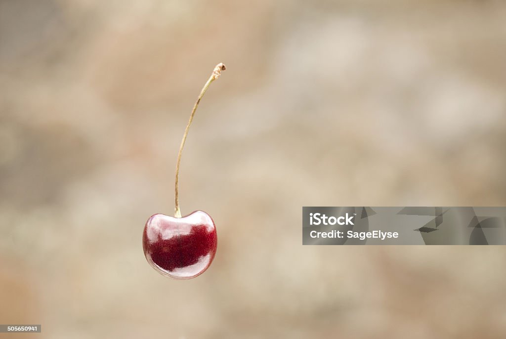 floating cherry A single, ripe bing cherry Antioxidant Stock Photo