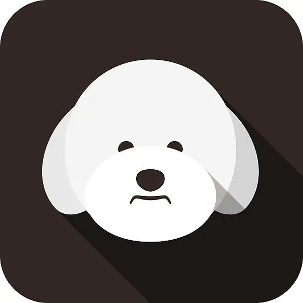 Vector illustration of Bichon Frise dog face flat icon