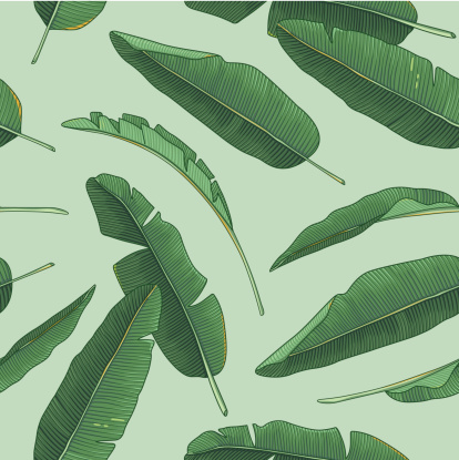 Banana Leaves Pattern Stock Illustration - Download Image Now ...