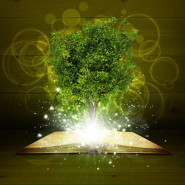 istock Open book with magical green tree and rays of light 505653287