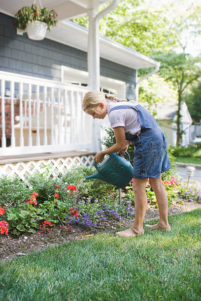istock Girl Watering Flowers In The Backyard 505657865