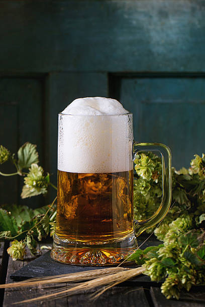 istock Mug of lager beer 505663704