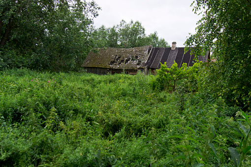 Overgrown garden and abandoned dilapidated house