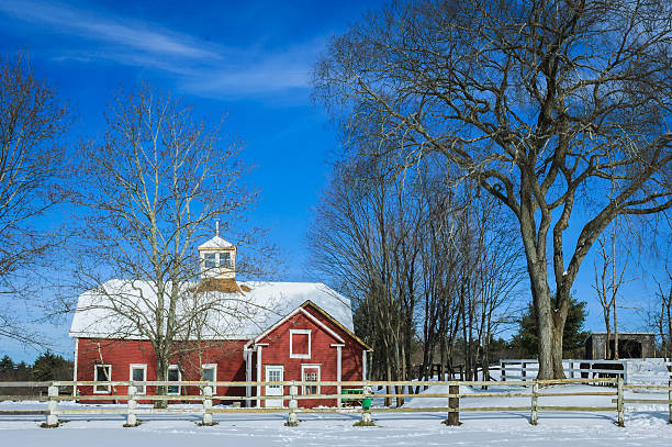 istock Winter Horse Farm 505670184