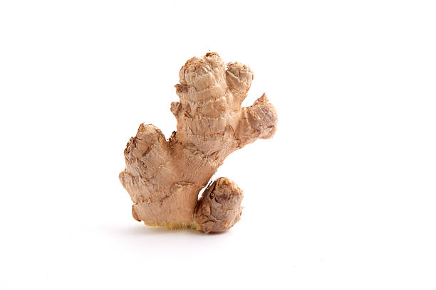 Ginger Root Isolated on White stock photo
