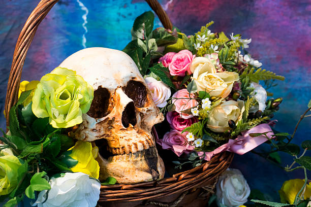 crâne avec des fleurs et du vin. - vanitas photos et images de collection