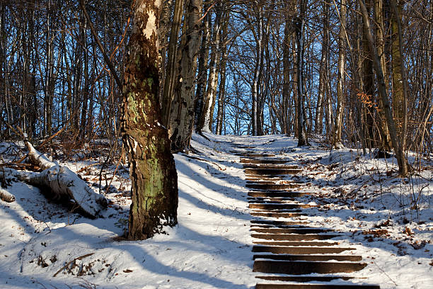 istock Walking up Hans Broges Hill, Denmark 505672166