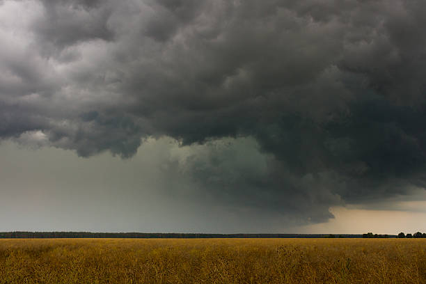 stormy cielo - storm wheat storm cloud rain foto e immagini stock